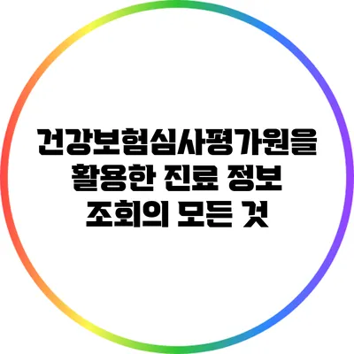 건강보험심사평가원을 활용한 진료 정보 조회의 모든 것