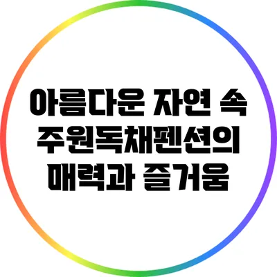 아름다운 자연 속 주원독채펜션의 매력과 즐거움