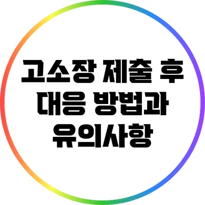 고소장 제출 후 대응 방법과 유의사항