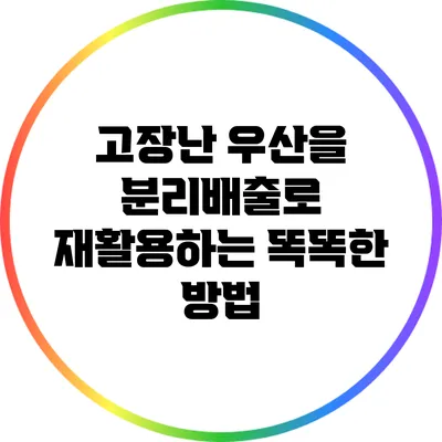 고장난 우산을 분리배출로 재활용하는 똑똑한 방법