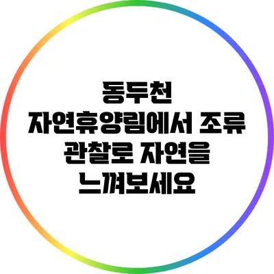 동두천 자연휴양림에서 조류 관찰로 자연을 느껴보세요