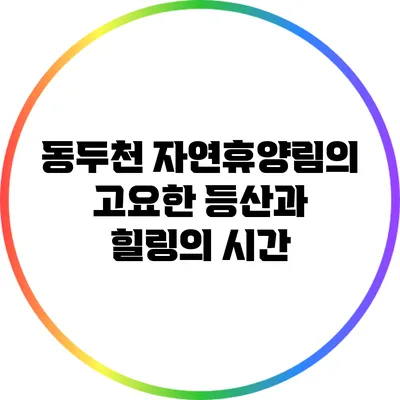 동두천 자연휴양림의 고요한 등산과 힐링의 시간