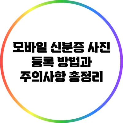 모바일 신분증 사진 등록 방법과 주의사항 총정리