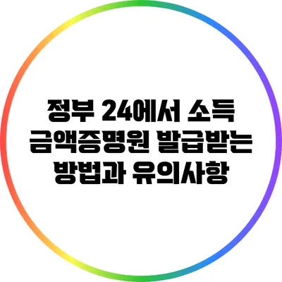 정부 24에서 소득 금액증명원 발급받는 방법과 유의사항