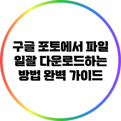 구글 포토에서 파일 일괄 다운로드하는 방법 완벽 가이드