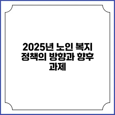 2025년 노인 복지 정책의 방향과 향후 과제