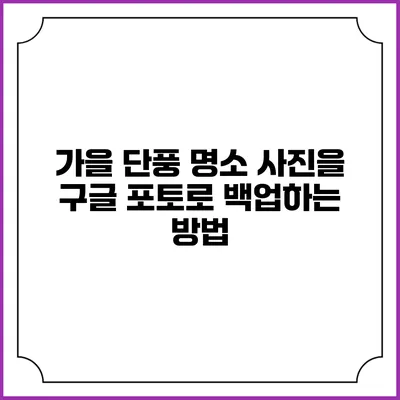 가을 단풍 명소 사진을 구글 포토로 백업하는 방법