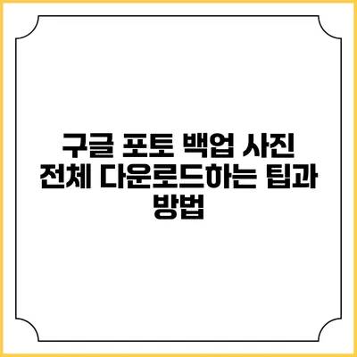 구글 포토 백업 사진 전체 다운로드하는 팁과 방법