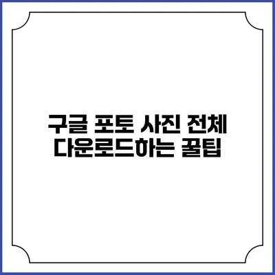 구글 포토 사진 전체 다운로드하는 꿀팁