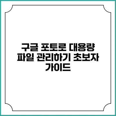 구글 포토로 대용량 파일 관리하기: 초보자 가이드