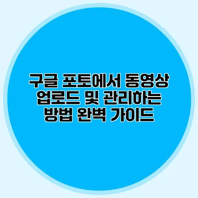구글 포토에서 동영상 업로드 및 관리하는 방법 완벽 가이드