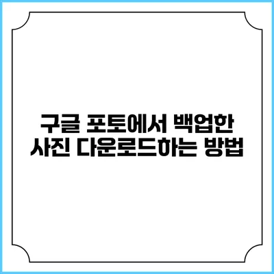 구글 포토에서 백업한 사진 다운로드하는 방법