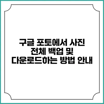 구글 포토에서 사진 전체 백업 및 다운로드하는 방법 안내
