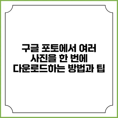 구글 포토에서 여러 사진을 한 번에 다운로드하는 방법과 팁