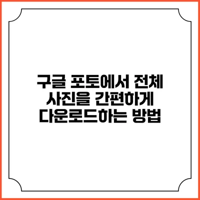 구글 포토에서 전체 사진을 간편하게 다운로드하는 방법