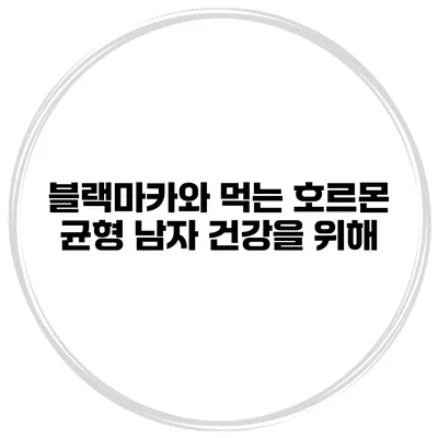 블랙마카와 먹는 호르몬 균형 남자 건강을 위해