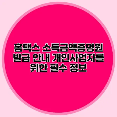 홈택스 소득금액증명원 발급 안내: 개인사업자를 위한 필수 정보