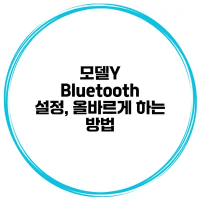 모델Y Bluetooth 설정, 올바르게 하는 방법
