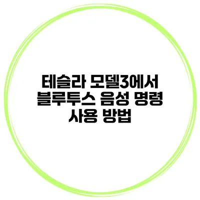 테슬라 모델3에서 블루투스 음성 명령 사용 방법